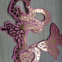 تم تولد پروانه