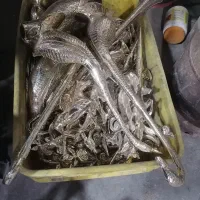 خدمات پرداخت کاری برنجی