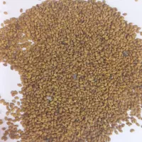 تیم یونجه|خدمات باغبانی و درختکاری|بهبهان, |دیوار