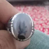 انگشترشجرقاین اصلی