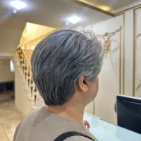 مدل کوتاهی رایگان رایگان استاد مختاریان