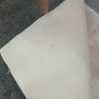 موکت پالاز