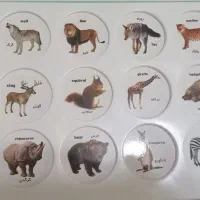 هوش چین ۲ورقه