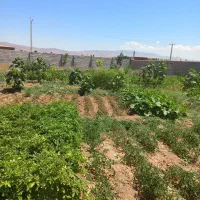 زمین داخل محدوده حصار کامل املاک تجارت