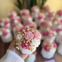 گیفت قیمت مناسب