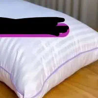 اگه‌ دنبال خوابی راحت هستی....