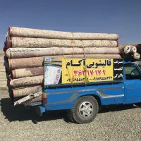 قالیشویی آکام