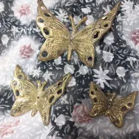 پروانه پرستو برنز