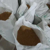 گندم درجه یک
