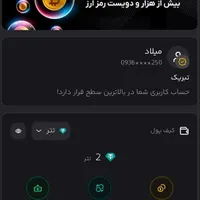 کسب درآمد