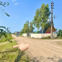 قابل-ساخت-قواره165متری-چشم-انداز-جنگل-سنددار