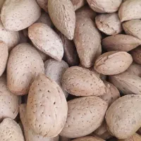 بادام