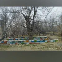 یک قطعه زمین تجاری