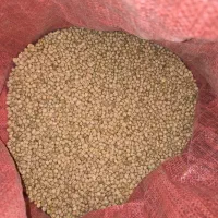 نخود دیم تازه ارگانیک قیمت مناسب