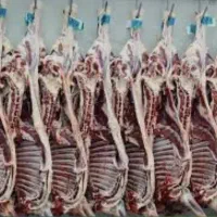 قصاب ماهر بی خس کار راسته