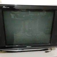 تلفزیون