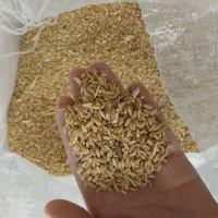 گندم دیم|خوردنی و آشامیدنی|مشهد, عباس‌آباد|دیوار