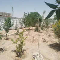 فروش باغ واقع درراستای منشیان (حسین آباد)|فروش خانه و ویلا|تهران, فرودگاه مهرآباد|دیوار