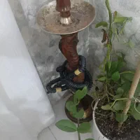 قلیون سالم چوب سرخ