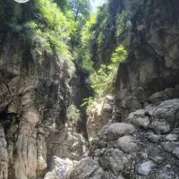 راهنمایی تصادف جرحی شرب خمر