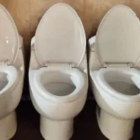 سرویس بهداشتی فرنگی