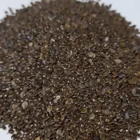 فروش تخم گزنه