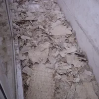 نان خشک مخصوص دام