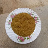 تخم یونجه درجه یک و اصالت دار