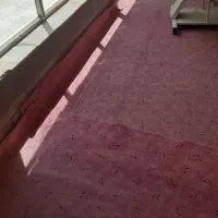 60 متر موکت پالاز پشت پنبه بسیار خوب