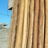 سفید چوب ساختمانی