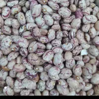 لوبیا چیتی خمین 360 تومن