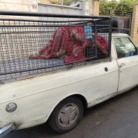 وانت پیکان مدل 1385 دوگانه