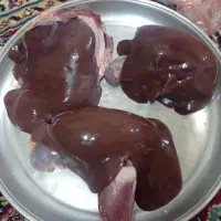 جگر تازه