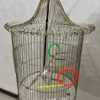 قفس پرنده