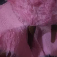 پاف و شال خز