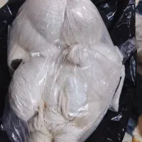 چله ابریشم دوانده شده ۱۰۲خونه و یک قالی نیمه کاره