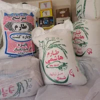 برنج گیلان