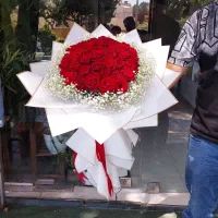 گل رز|گل و گیاه طبیعی|اصفهان, شاهزید|دیوار
