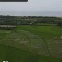 ۱۶۵۰۰مترزمین/مناسب باغ کیوی/تسطیح نشده