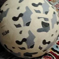 توپ فوتبال نو