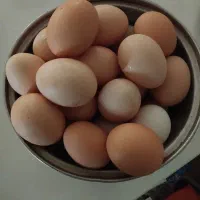 تخم مرغ خانگی