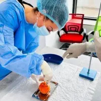 مهاجرت تحصیلی پذیرش پزشکی و دندانپزشکی چین