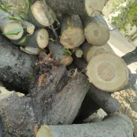 چوب شومینه