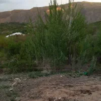 زمین کشاورزی