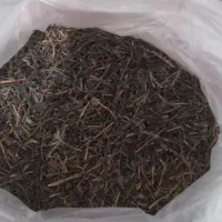 چای بهاره ۱۴۰۵