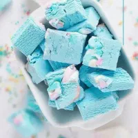 تولید کننده بستنی خشک و میوه خشک