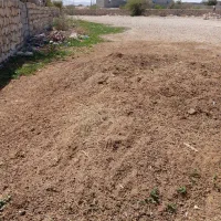 فروش کود طبیعی بز ومیش پوسیده وآماده مصرف