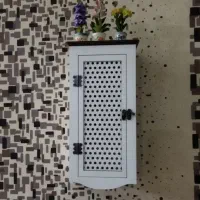 کاور لوله گاز ایستاده(ترند)