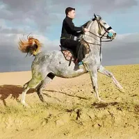 مادیون عتیقه شش دانگ پرخون