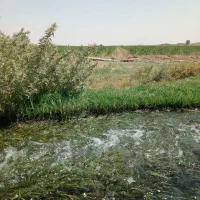 زمین کشاورزی با چاه آب